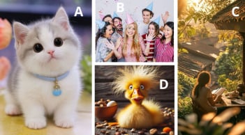 Quiz: Chọn 1 trong 4 hình dưới đây để xem khả năng hài hước của bạn ra sao?