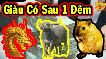 3 con giáp Giàu có sau 1 đêm: 1 tuổi Tiền - Tình đỏ chót