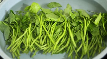 5 loại rau lành tính, ít thuốc, giá rẻ, không mua là phí