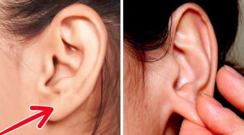 Thường xuyên Xoa Tai giúp dưỡng nhan, trị đau đầu, cường thận