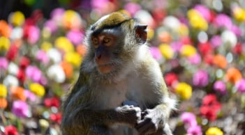 3 con giáp bứt phá sự nghiệp trong tháng 12: Thời điểm vàng mở ra cơ hội thăng tiến trước thềm năm mới