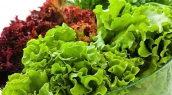 Cảnh báo: 3 loại rau dễ nhiễm hóa chất và ký sinh trùng nhưng người Việt thường ăn hàng ngày