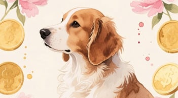 Từ 2/10 âm lịch đến Tết Bính Ngọ, 3 tuổi công việc thuận lợi, tiền tài vào như nước