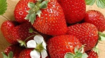 Trắc nghiệm tâm lý: Loại quả yêu thích tiết lộ khi nào bạn sẽ giàu có