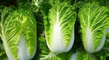 5 loại rau được xem là 'thuốc bổ' mùa đông cho mọi nhà