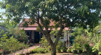 10 loại cây trong vườn vô tình thu hút rắn: Gia đình nào cũng nên biết