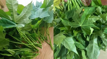 Loại rau ‘nghe tên đã ngọt’ gây sốt chợ Việt: Hương vị độc lạ, nhà hàng săn mua từng bó