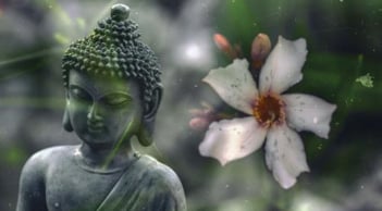 Phật dạy, muốn được Phước báo, hãy làm 5 việc này thường xuyên để tích phước