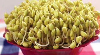 Cách làm giá đậu nành đơn giản giàu dưỡng chất và rất dễ làm tại nhà