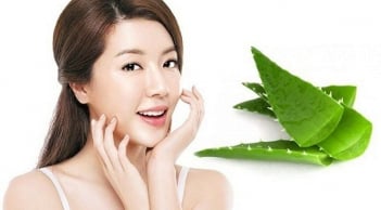 Nha đam - “thần dược” trong làm đẹp