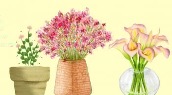 5 kiểu bình hoa trong nhà làm tổn hại phong thuỷ, gây hại gia chủ, tránh ngay kẻo lụn bại