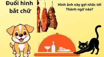 Thử tài IQ của bạn: Hình ảnh này nhắc tới thành ngữ nào? Người thông minh cần 5 giây, còn bạn?