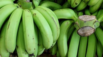 Thường xuyên ăn chuối xanh mỗi ngày, cơ thể sẽ có thay đổi như thế nào?