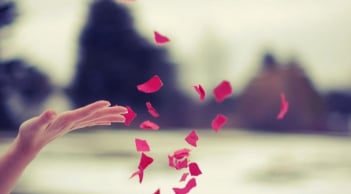 Đây là 4 thứ sẽ 'hút sạch' phúc khí của một gia đình