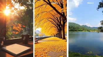 Quiz: Chọn 1 trong 3 hình ảnh để xem bạn có đang Giàu Năng lượng cho những ngày cuối năm bận rộn?