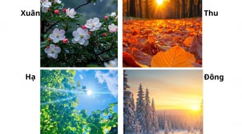 Quiz: Chọn 1 trong 4 hình ảnh mùa trong năm, để khám phá con người thật, chìa khóa giúp bạn giàu có