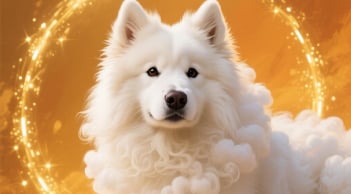 Thánh nhân đã kẻ khù khờ, từ 2026 đến 2030, 3 tuổi số hưởng, giàu không cản được