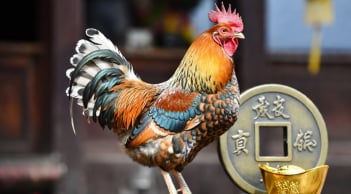 Tuần mới 1–7/12: 2 con giáp bứt phá tài lộc, 2 con giáp đối mặt vận hạn dễ “lao đao”