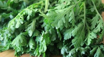 Rau cải cúc: thứ rau tuyệt vời của mùa đông nhưng cần lưu ý để giữ dinh dưỡng tốt nhất