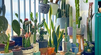 Ban công để 3 thứ này, dễ khiến nhà bạn hao tài tốn của và hay bệnh tật ốm đau