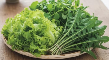 3 loại rau rẻ như cho ở Việt Nam bất ngờ lọt top thế giới – mọc hoang cũng thành “kho báu dinh dưỡng”