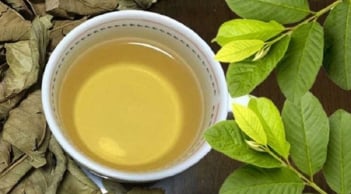 Thường xuyên uống nước lá ổi mỗi ngày, cơ thể sẽ có thay đổi gì?