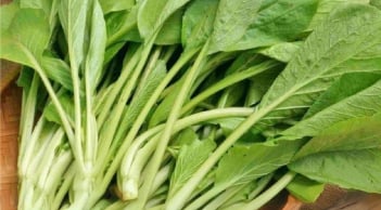 BS Bệnh viện K tiết lộ thường xuyên ăn rau cải, phòng ngừa 4 bệnh này