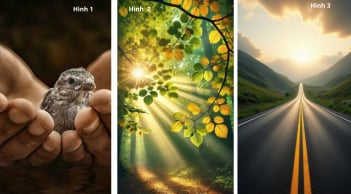 Quiz: Chọn 1 trong 3 hình sẽ tiết lộ bạn thực sự Giàu Lòng Trắc Ẩn và Nhân Hậu đến mức nào