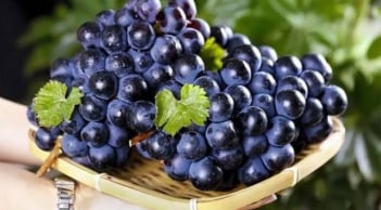 Trắc nghiệm chùm nho siêu chính xác: Phản ánh tính cách và mức độ may mắn của bạn