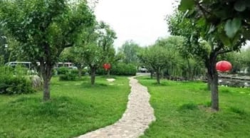 5 vị trí vàng trong nhà giúp 9/10 gia đình phát tài, hút tài lộc đỉnh cao