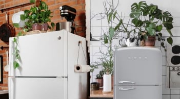 Trong nhà có 5 vị trí không nên đặt cây xanh