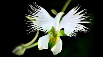 Những người sinh vào 3 tháng Âm lịch này, luôn gặp suôn sẻ, tuổi già hưởng hết phúc phần thiên hạ