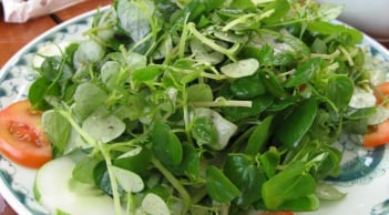 3 cách ăn rau càng cua, giúp giảm đau khớp và giảm axit uric