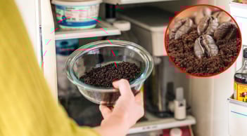 7 cách khử mùi hôi tủ lạnh bằng nguyên liệu tự nhiên, an toàn