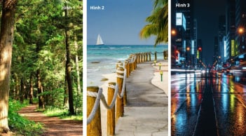 Quiz: Chọn 1 trong 3 con đường bạn muốn bước vào sẽ tiết lộ năm 2026 của bạn mở ra điều gì