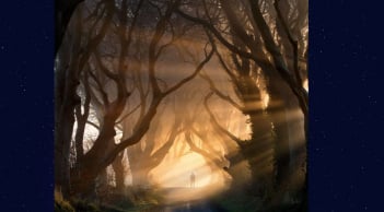  Quiz: Phản ứng đầu tiên của bạn khi nhìn bức ảnh này sẽ tiết lộ khả năng giàu có trong 10 năm tới