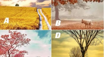 Trắc nghiệm tâm lý: Chọn bức tranh theo trực giác để khám phá số mệnh và tính cách tiềm ẩn của bạn
