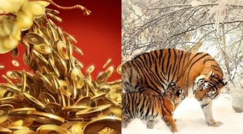 Trước – sau Tết Dương lịch: 4 con giáp trúng vận may lớn, 2026 mở cửa đã đỏ rực tiền đầy két