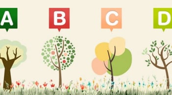 Trắc nghiệm phong thủy: Khám phá vận trình của bạn từ nay đến cuối năm 2025