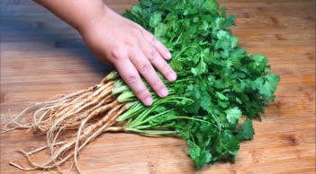 Cách bảo quản rau mùi tươi lâu, cả tháng vẫn xanh mướt, thơm ngon