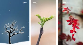 Quiz: Chọn 1 cành cây mùa đông tiết lộ điều bạn cần tập trung để nâng cấp bản thân trong năm 2026