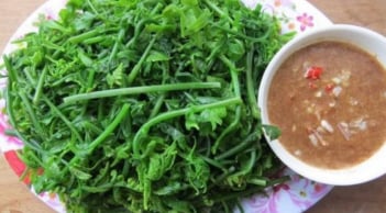 Rau dại Việt Nam được Trung Quốc tôn là “rau trường sinh”, kho báu xanh giúp bồi bổ sức khỏe