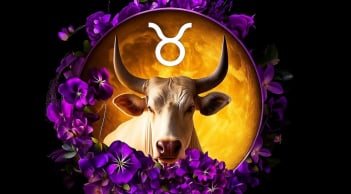 Cuối tuần 13–14/12 đổi vận: 3 cung hoàng đạo Thu Tiền Mỏi Tay, sang tuần mới tinh thần lên cao