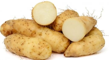 Loại củ rẻ tiền được ví là 'nhân sâm dưới lòng đất', lá chắn miễn dịch, giảm 30% nguy cơ viêm đường hô hấp