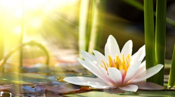 Những khó khăn bạn đang gặp phải đều là ông Trời đang độ bạn, hãy lạc quan bởi phước lành đang ở phía trước