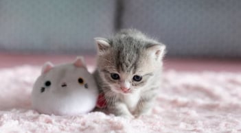 Quiz: 5 năm tới bạn sẽ giàu cỡ nào? Kiểm tra ngay kết quả bất ngờ