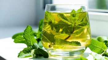 Uống trà Bạc Hà sẽ mang lại 7 lợi ích thiết thực cho cơ thể