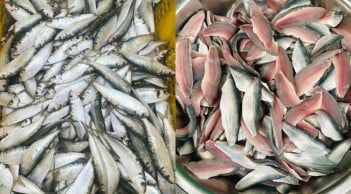 2 cá giàu omega-3 bậc nhất, hơn cả cá hồi, chợ Việt vừa nhiều vừa rẻ