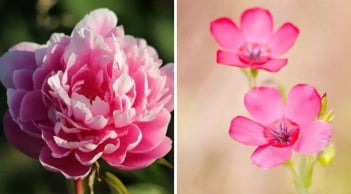 Những người sinh ngày này chậm mà chắc: Không sớm nổi danh nhưng lại giàu có, sung túc về sau