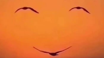 Trắc nghiệm tâm lý: Bạn ưu tiên tiền bạc hay đặt cảm xúc lên hàng đầu?